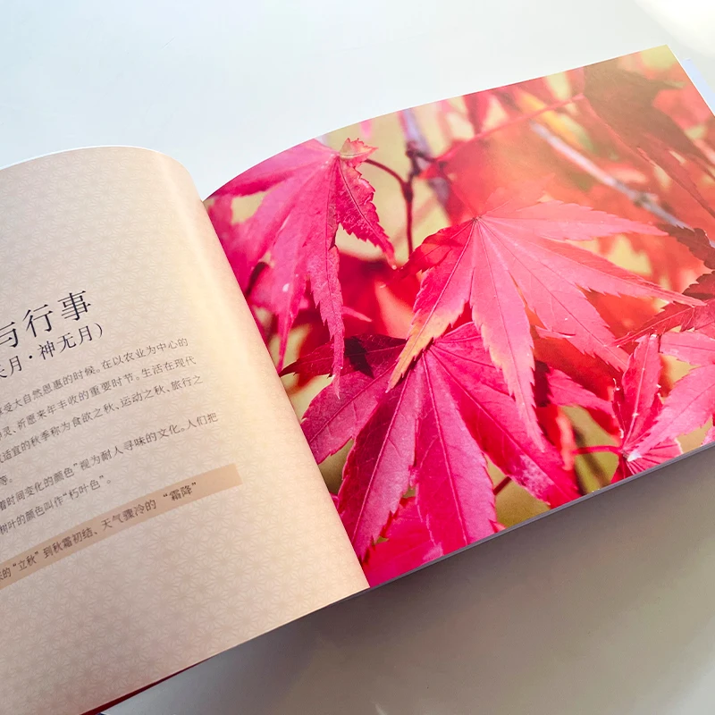 Цветовые сочетания, иллюстрация рисунка, японская традиционная современная жизнь, подбирающая цвета художественная книга