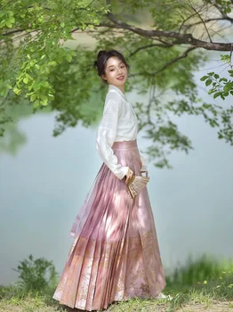 Комплект юбок в стиле ретро Hanfu с лошадиной мордой, современный элегантный женский китайский традиционный восточный костюм, модная одежда для танцев, совместная игра