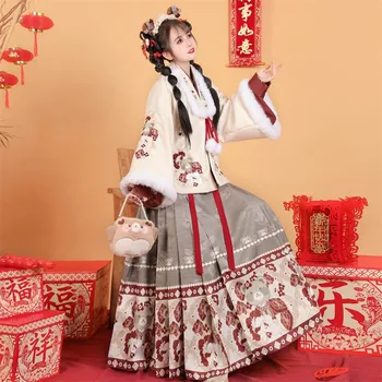 2023 новая зимняя оригинальная система Hanfu Ming со стоячим воротником и рукавом pipa, юбка с вышивкой в виде лошади, женская Hanfu