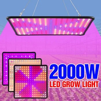 Светодиодная Фитолампа Полного Спектра Для Выращивания Растений, Комнатные Семена Цветов, Выращивание Гидропоники, Фитолампа Quantum Board LED Light